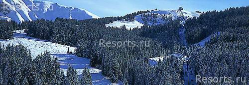 Sporthotel Floralpina 37